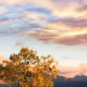 Meet your Posher, Donald